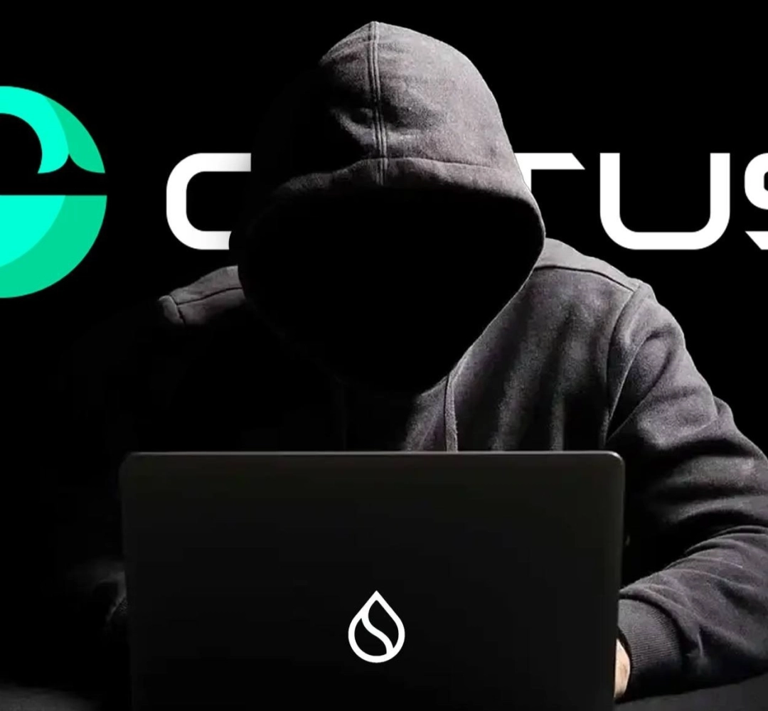 Cetus Protocol hệ SUI sẽ trả 100% số tiền thiệt hại sau vụ hack