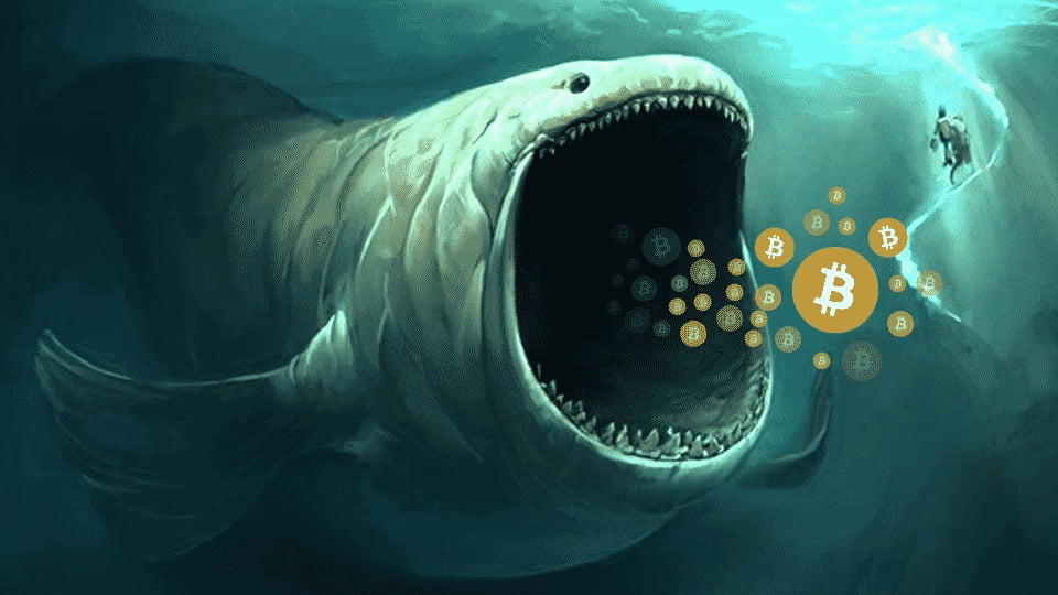 Một cá voi short bị thanh lý 23 triệu USD sau khi BTC tăng hơn 111k$